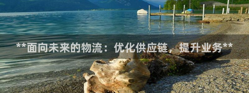 28圈黑平台吗：**面向未来的物流：