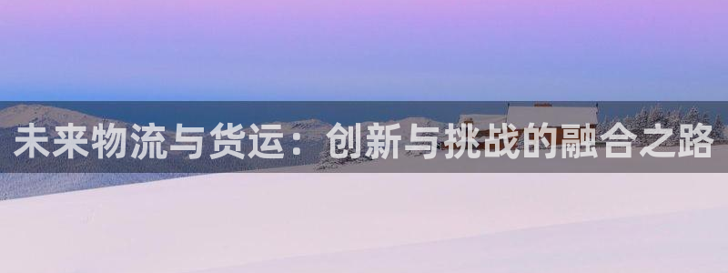 28圈提款一直没到：未来物流与货运：