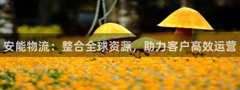 28圈app注册地址：安能物流：整合