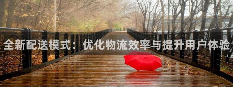 28圈充值不到账怎么办：全新配送模式