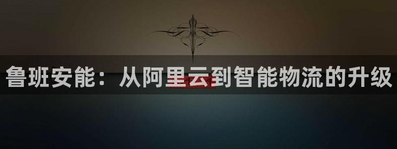 28圈官网版2024：鲁班安能：从阿