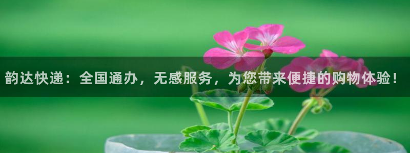 28圈注册上限是啥意思:韵达快递:全