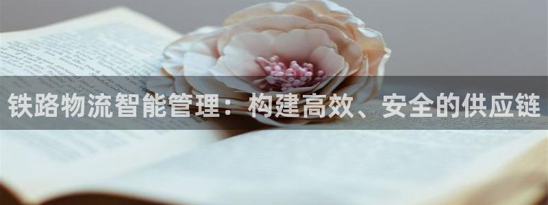 28圈账号注册：铁路物流智能管理：构