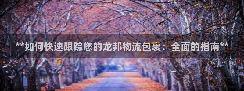 28圈充值不处理会怎么样：**如何快