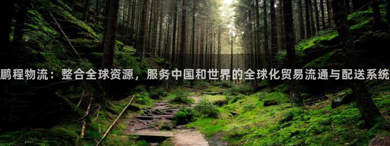 28圈赌博被抓：鹏程物流：整合全球资