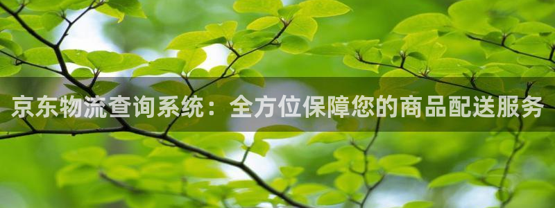 28圈注册网站多少钱一个：京东物流查