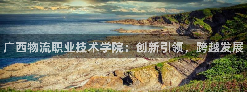 28圈游戏链接：广西物流职业技术学院
