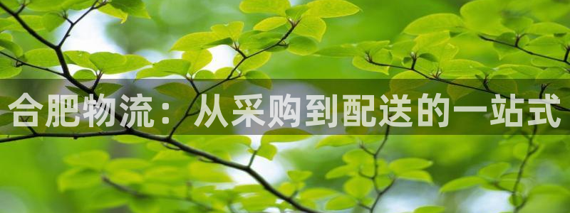 28圈合法吗：合肥物流：从采购到配送