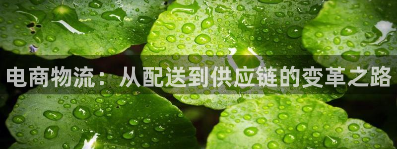 28圈官网开奖结果预测查询：电商物流