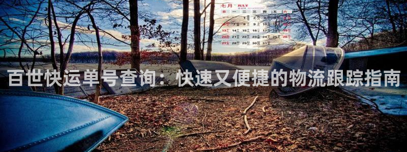 28圈充值金额随便：百世快运单号查询：快速又便捷的物流跟踪指