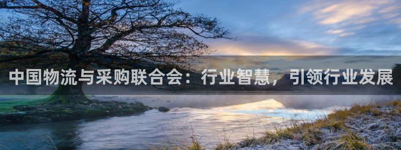 28圈黑钱：中国物流与采购联合会：行