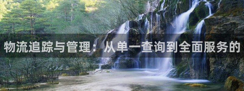 28圈人头费：物流追踪与管理：从单一查询到全面服务的