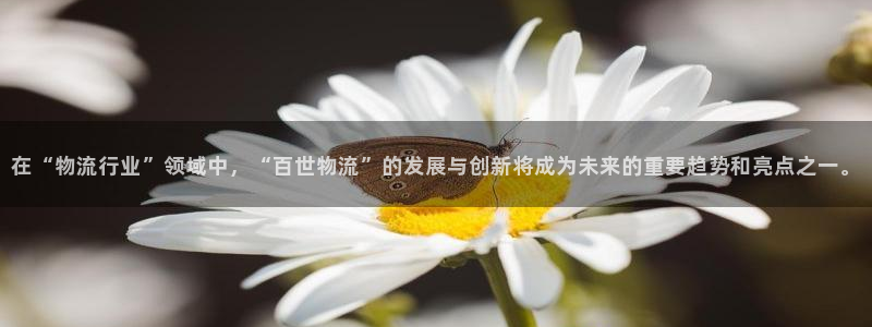28圈怎么下载：在“物流行业”领域中，“百世物流”的发展与创