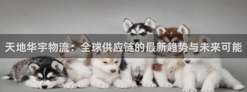 28圈官方官网版：天地华宇物流：全球