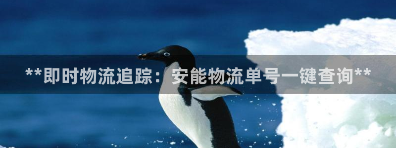 28圈app注册地址