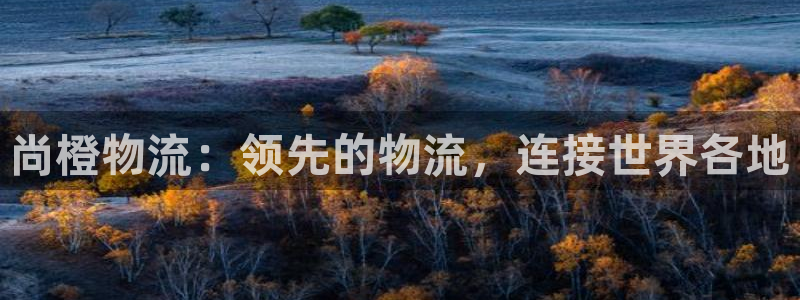 28圈网站怎么注册