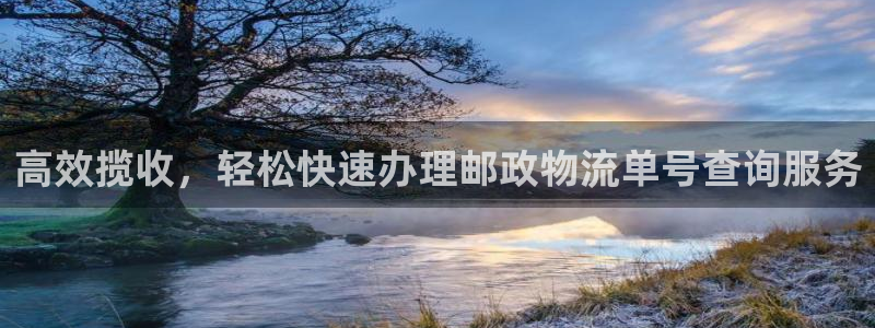 28圈软件堵什么反什么