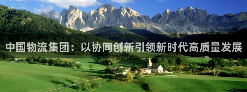 28圈游戏:中国物流集团:以协同创新