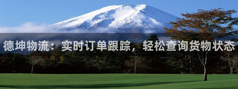 28圈ccm游戏：德坤物流：实时订单