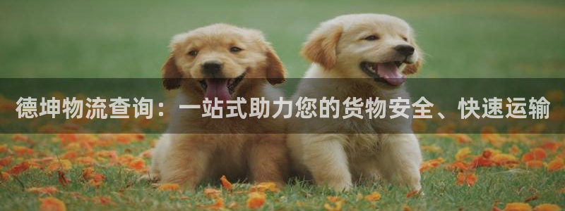 28圈注册上限是啥意思