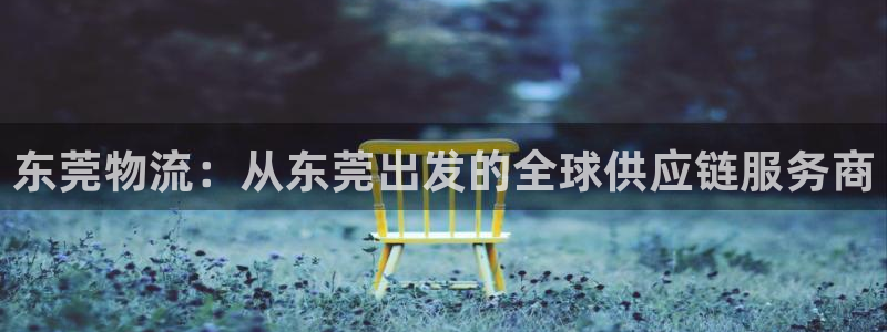 28圈大舞台:东莞物流:从东莞出发的