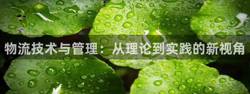 28圈怎么注册：物流技术与管理：从理