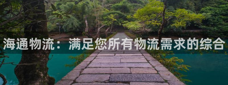 28圈p图上分下款通道：海通物流：满