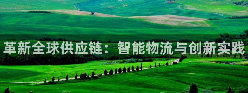 28圈口:革新全球供应链:智能物流与