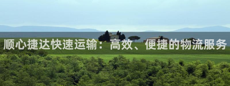 28圈圈:顺心捷达快速运输:高效、便