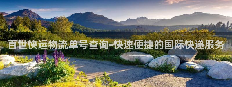 28圈注册教程：百世快运物流单号查询