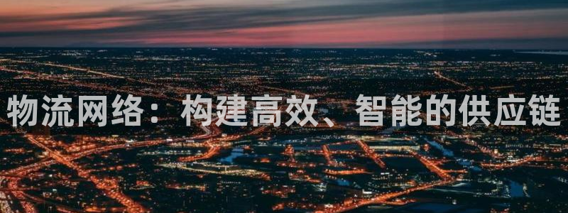 28圈官网版下载：物流网络：构建高效