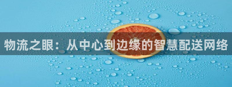 28圈app注册地址:物流之眼:从中