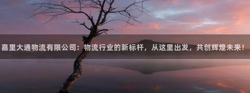 28圈官网版所有版本：嘉里大通物流有