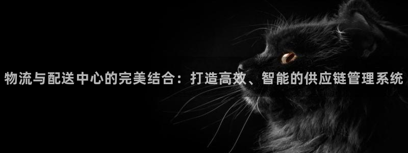 28圈官网网站:物流与配送中心的完美