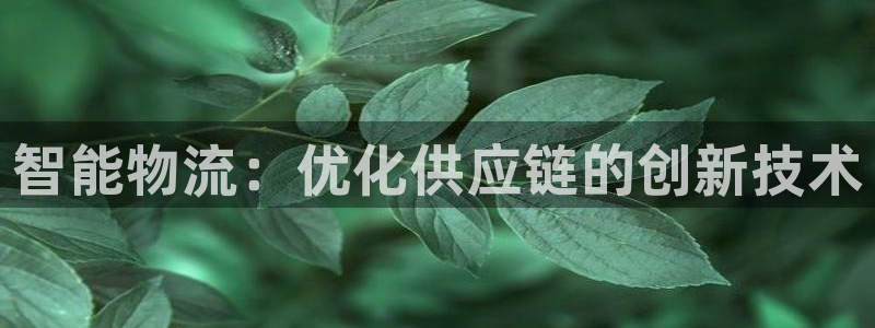 28圈初始资金密码在哪里改：智能物流：优化供应链的创新技术
