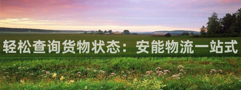 28圈注册教程：轻松查询货物状态：安