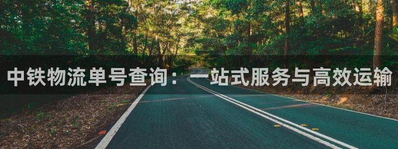 28圈不给提现：中铁物流单号查询：一