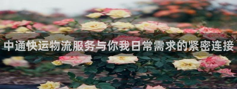 28圈模拟器在线玩：中通快运物流服务