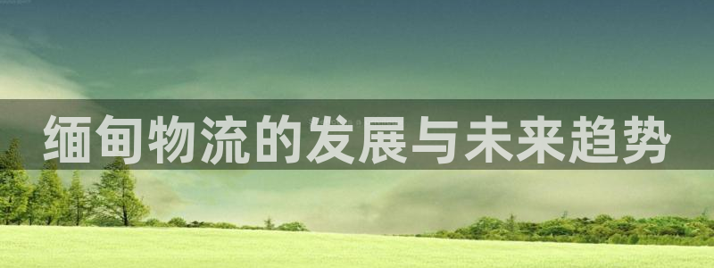 28圈加拿大是什么意思：缅甸物流的发