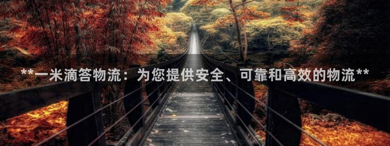 28圈网站怎么注册：**一米滴答物流