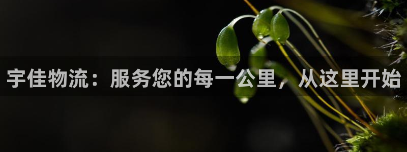 28圈下载链接是多少:宇佳物流:服务