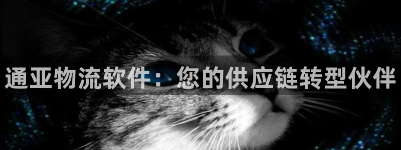 28圈如何注销账号：通亚物流软件：您