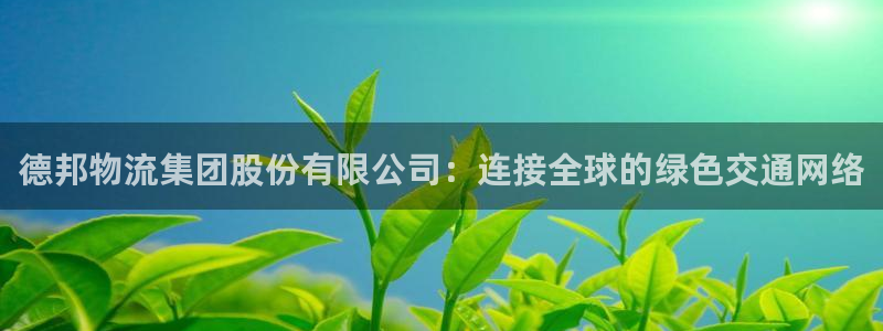 28圈是正规软件吗：德邦物流集团股份