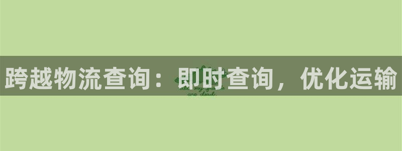 28圈加拿大怎么玩：跨越物流查询：即