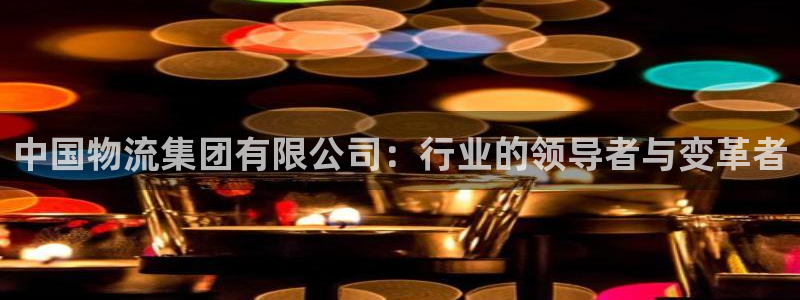 28圈.ccm2024：中国物流集团