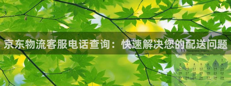 28圈怎么下载不了：京东物流客服电话查询：快速解决您的配送问