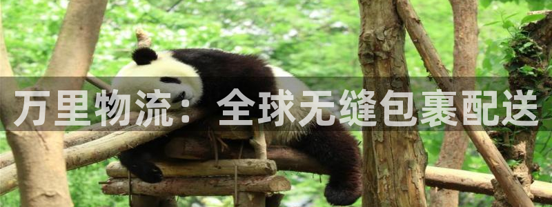 28圈.ccm正版：万里物流：全球无