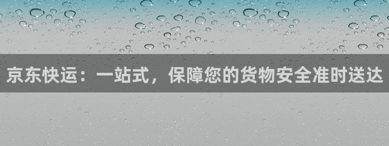28圈预测：京东快运：一站式，保障您