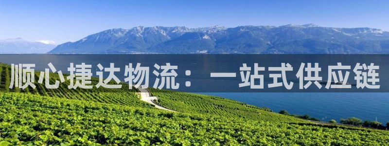 28圈充值不到账怎么办：顺心捷达物流