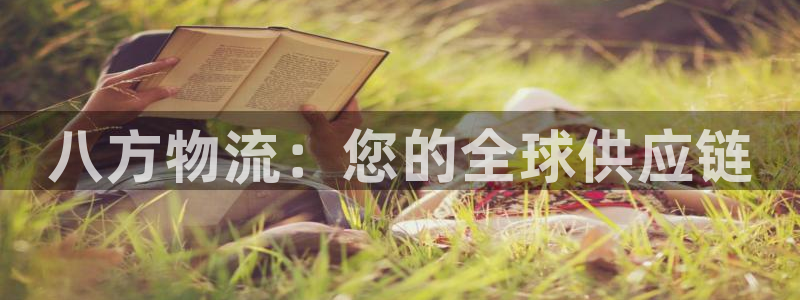 28圈的平台：八方物流：您的全球供应